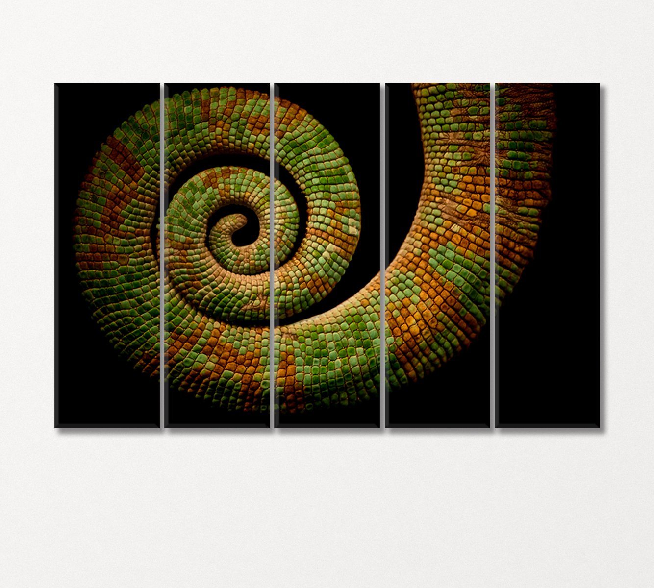 Chameleon Tail Canvas Print-Canvas Print-CetArt-5 Panels-36x24 inches-CetArt