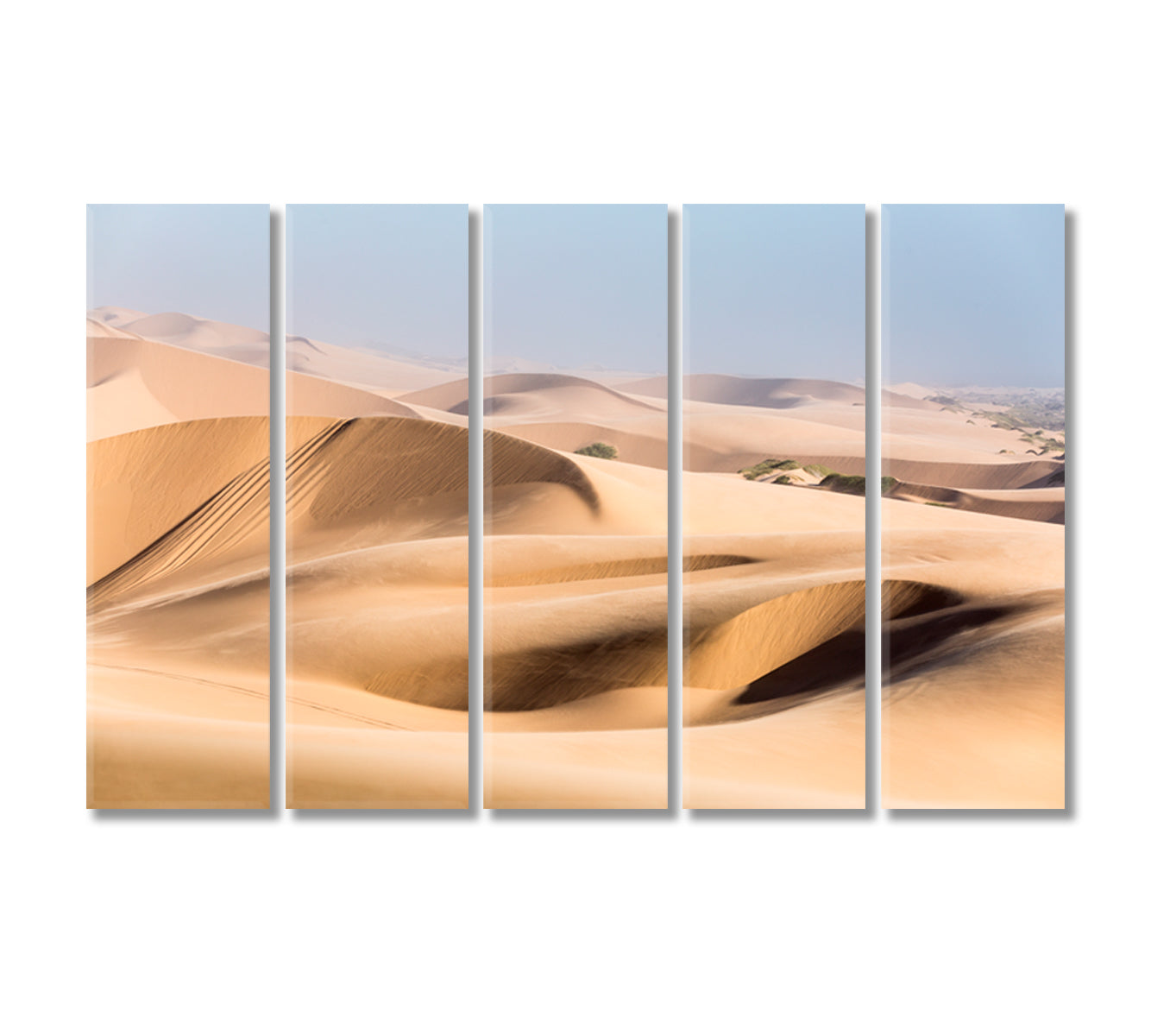 Namib Desert Canvas Print-Canvas Print-CetArt-5 Panels-36x24 inches-CetArt