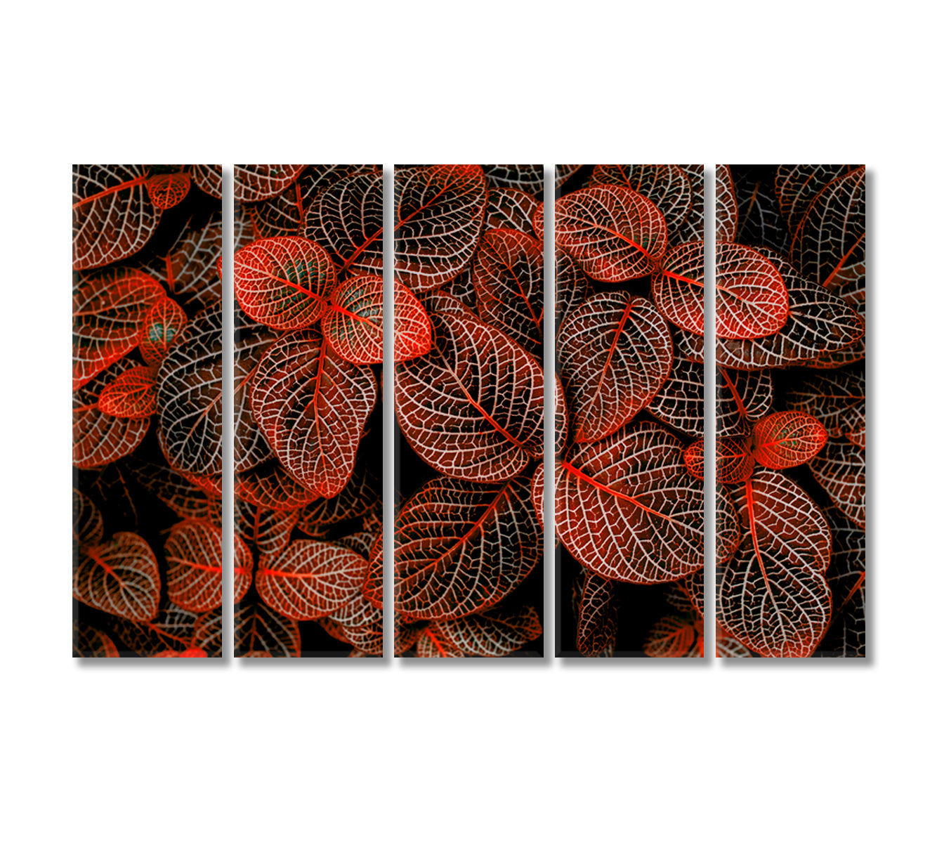 Tropical Red Leaves Fittonia Verschaffeltii Canvas Print-Canvas Print-CetArt-5 Panels-36x24 inches-CetArt