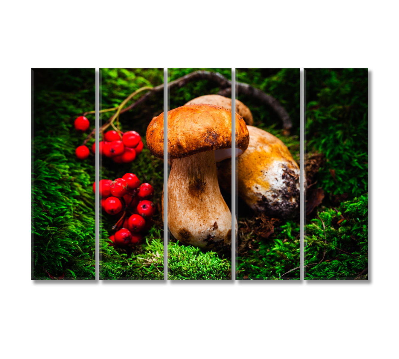 Porcini Mushrooms Canvas Print-Canvas Print-CetArt-5 Panels-36x24 inches-CetArt