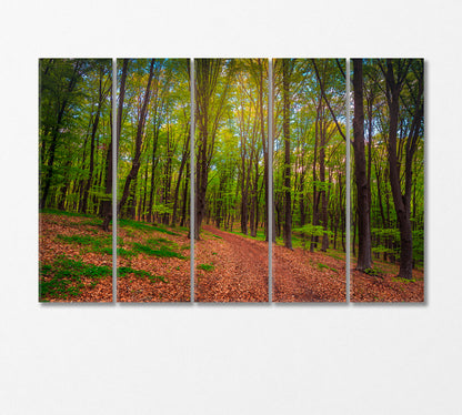 Spring Forest Landscape Canvas Print-Canvas Print-CetArt-5 Panels-36x24 inches-CetArt