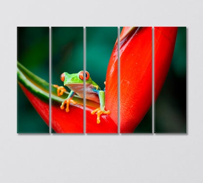 Little Tropical Frog on Heliconia Flower Canvas Print-Canvas Print-CetArt-5 Panels-36x24 inches-CetArt