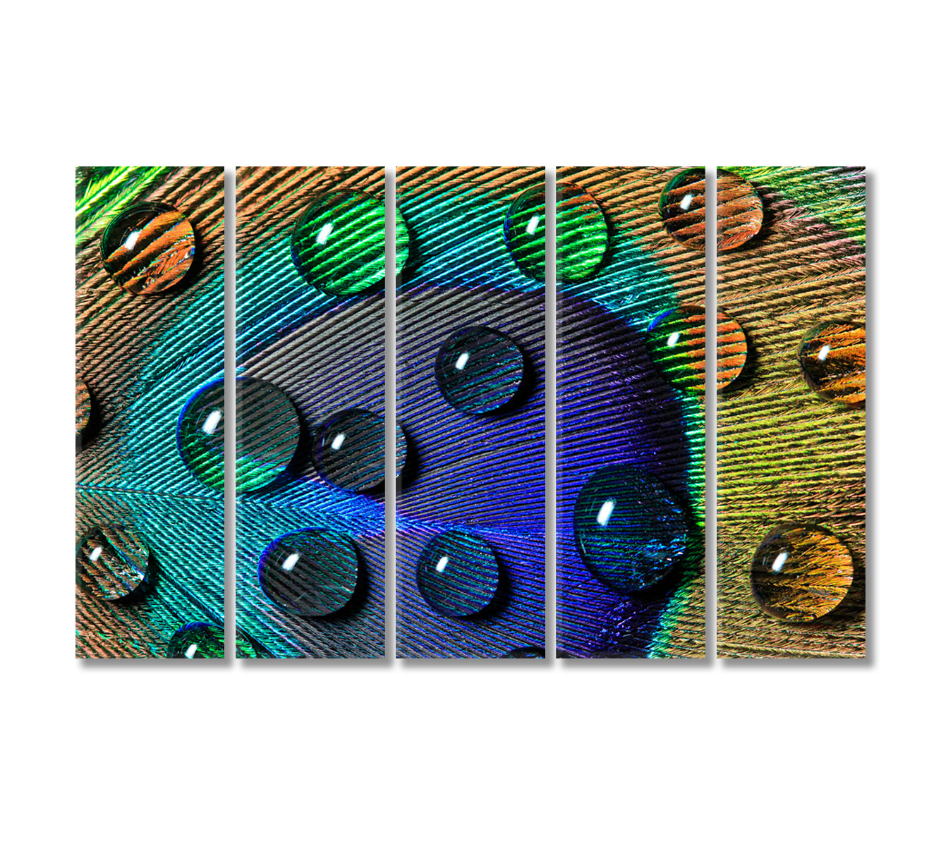 Peacock Feather with Drops Canvas Print-Canvas Print-CetArt-5 Panels-36x24 inches-CetArt