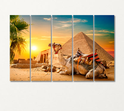 Camel Lies near Egyptian Pyramid Canvas Print-Canvas Print-CetArt-5 Panels-36x24 inches-CetArt