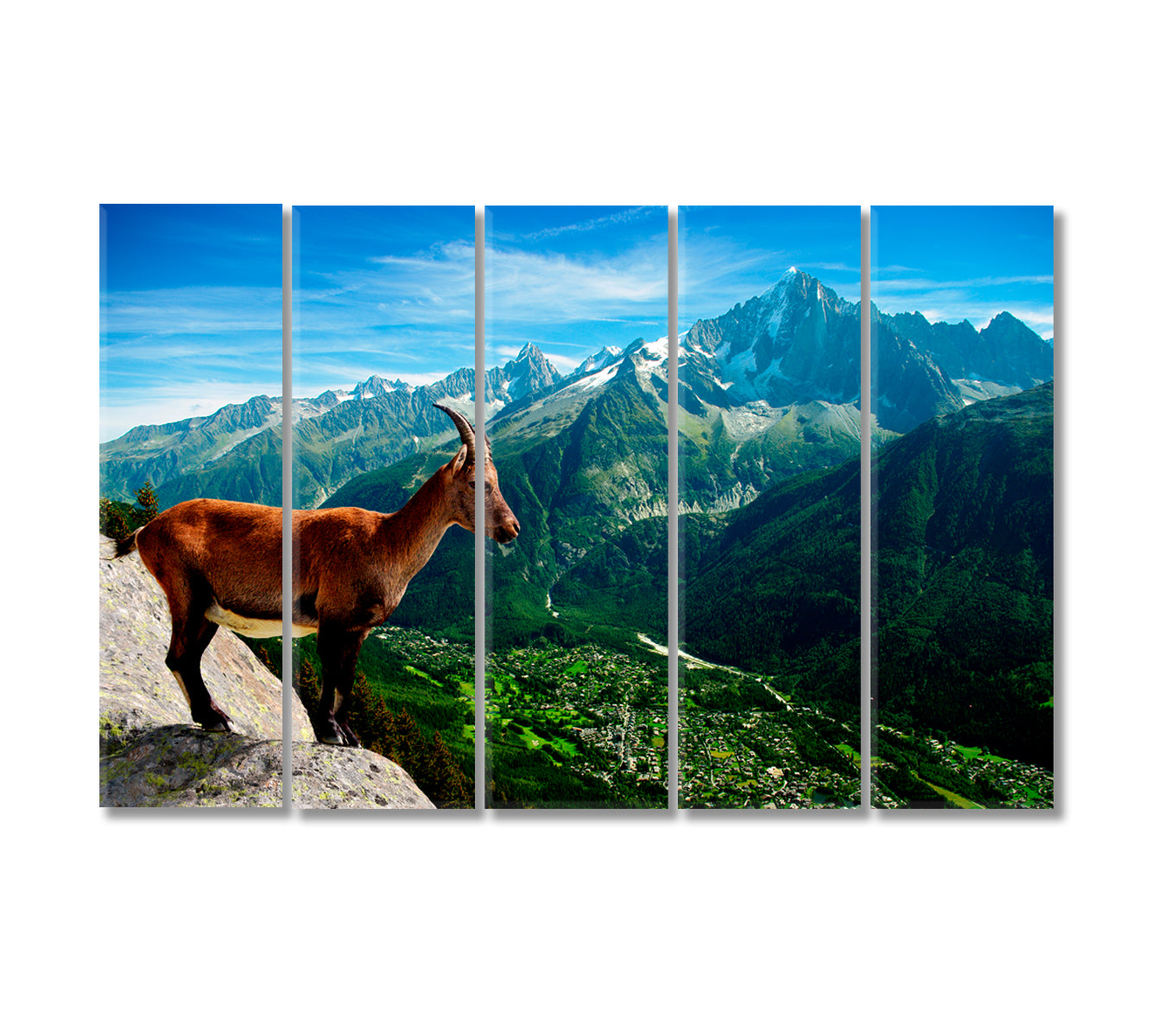 Mountain Goat Looks at Landscape Canvas Print-Canvas Print-CetArt-5 Panels-36x24 inches-CetArt