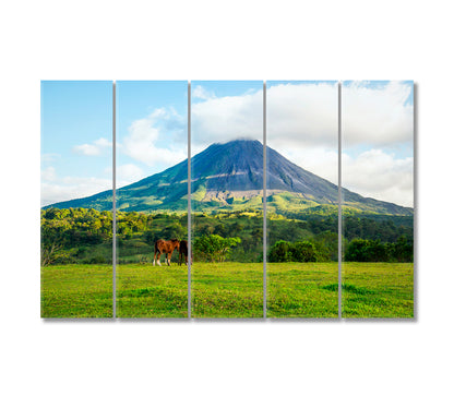 Arenal Volcano Costa Rica Canvas Print-Canvas Print-CetArt-5 Panels-36x24 inches-CetArt