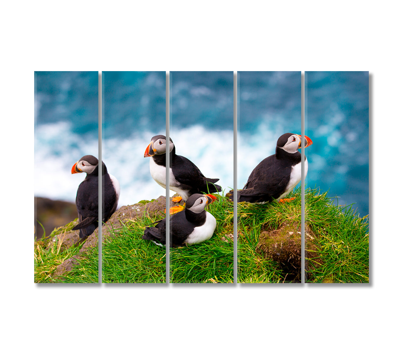 Puffins of Faroe Islands Denmark Canvas Print-Canvas Print-CetArt-5 Panels-36x24 inches-CetArt