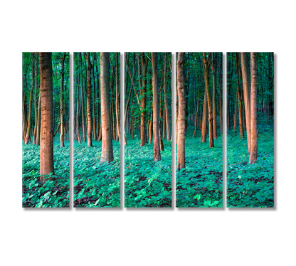 Oak Forest Canvas Print-Canvas Print-CetArt-5 Panels-36x24 inches-CetArt