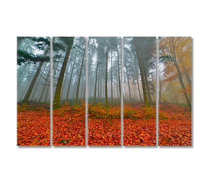 Foggy Autumn Pine Forest Canvas Print-Canvas Print-CetArt-5 Panels-36x24 inches-CetArt