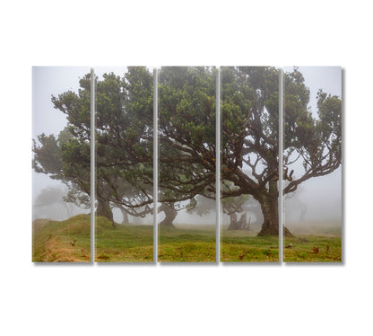 Beautiful Trees in Fog Canvas Print-Canvas Print-CetArt-5 Panels-36x24 inches-CetArt