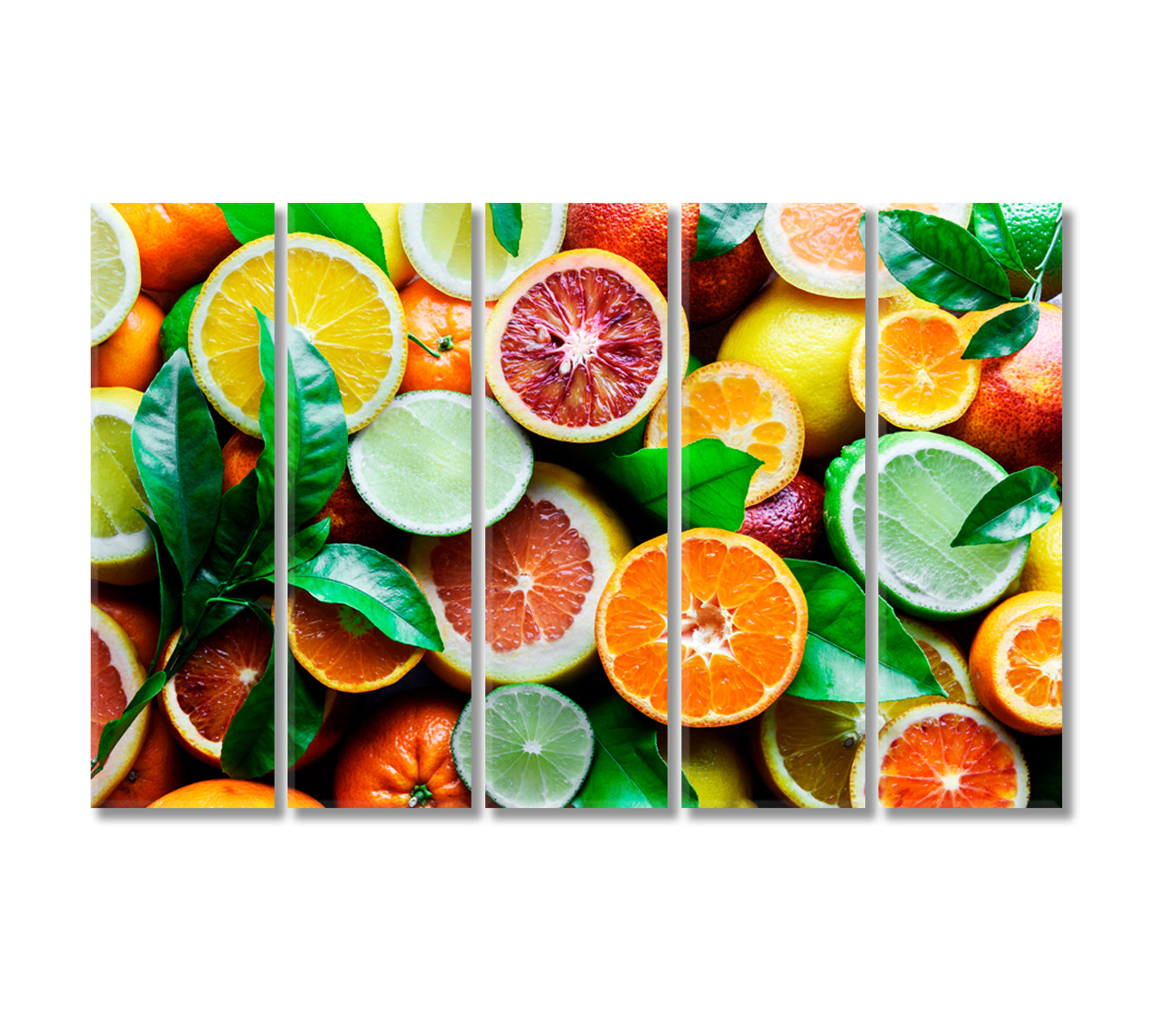 Citrus Canvas Print-Canvas Print-CetArt-5 Panels-36x24 inches-CetArt