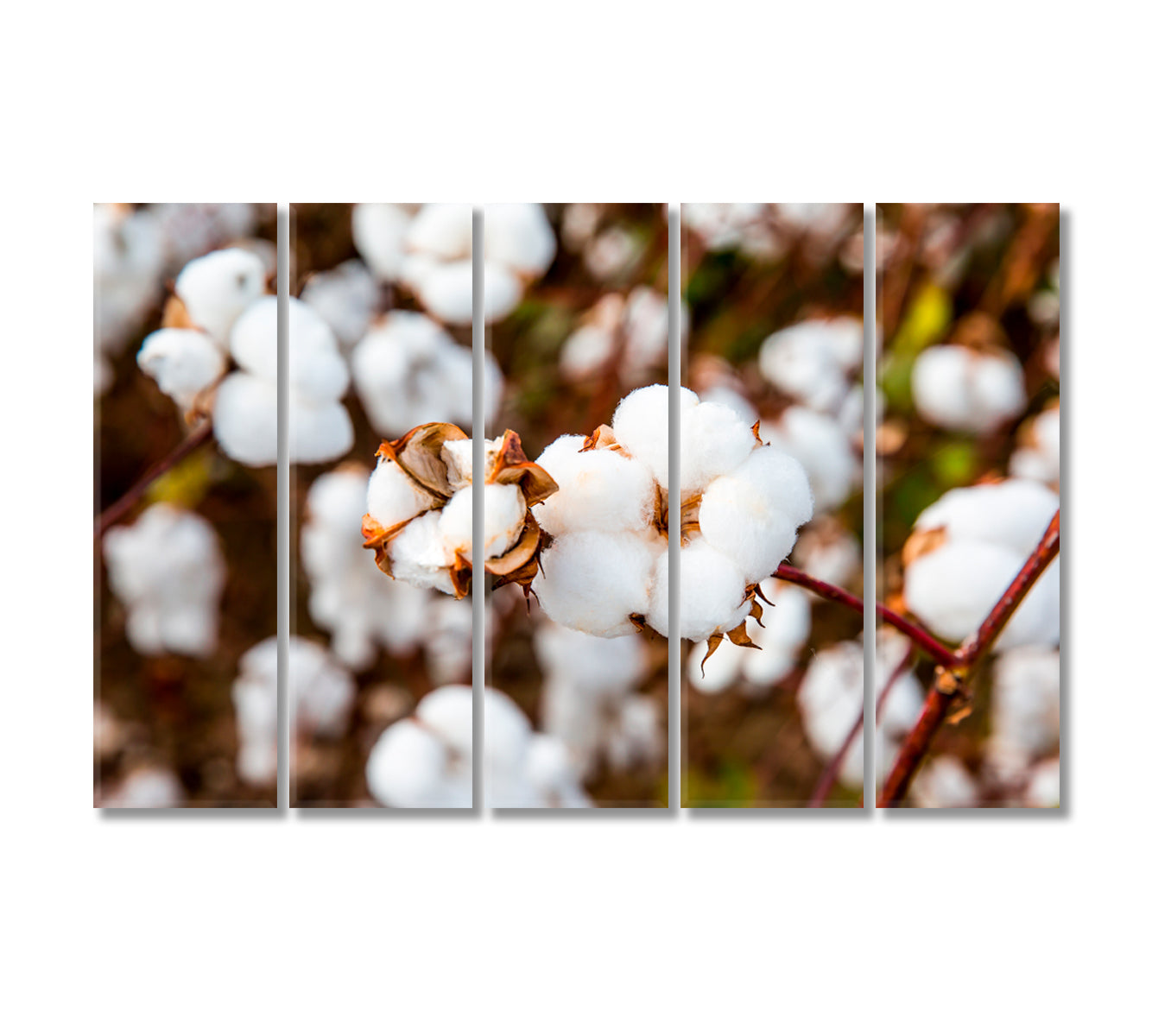 Cotton Branches Canvas Print-Canvas Print-CetArt-5 Panels-36x24 inches-CetArt