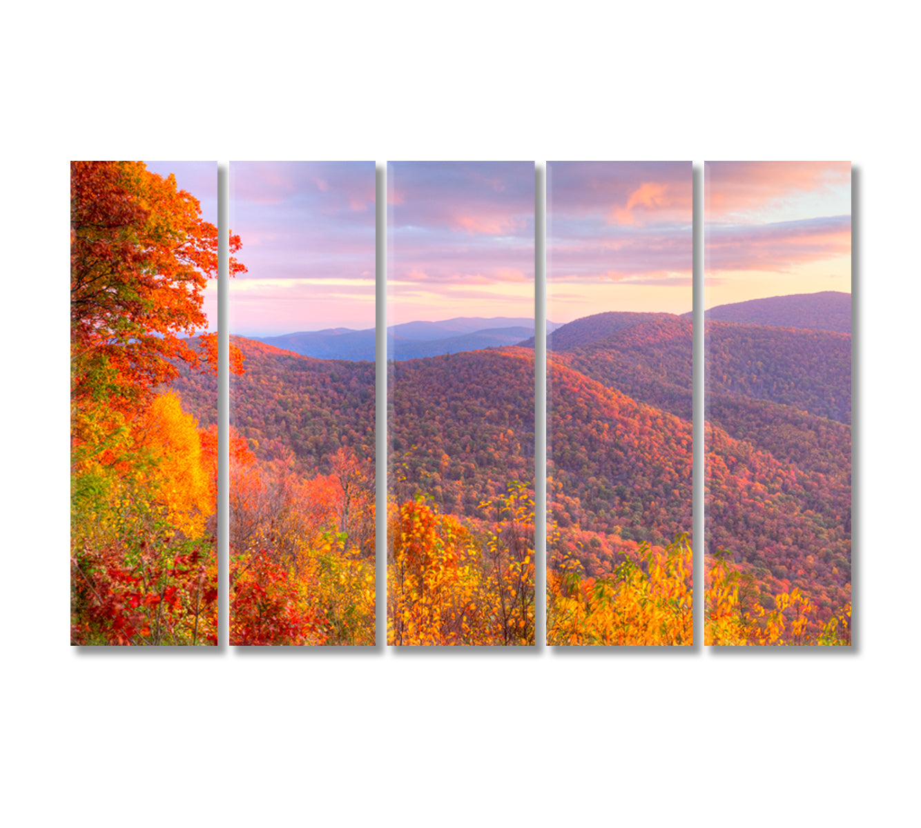 Fall in Shenandoah National Park Canvas Print-Canvas Print-CetArt-5 Panels-36x24 inches-CetArt