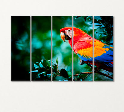 Big Colorful Parrot Macaw Canvas Print-Canvas Print-CetArt-5 Panels-36x24 inches-CetArt