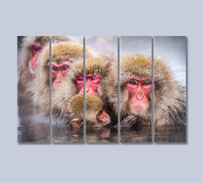 Family of Monkeys Swimming in River Canvas Print-Canvas Print-CetArt-5 Panels-36x24 inches-CetArt