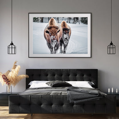 Bison in Winter Room Posters Wall Art-Horizontal Posters NOT FRAMED-CetArt-10″x8″ inches-CetArt