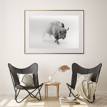 Bison Black And White Posters-Horizontal Posters NOT FRAMED-CetArt-10″x8″ inches-CetArt