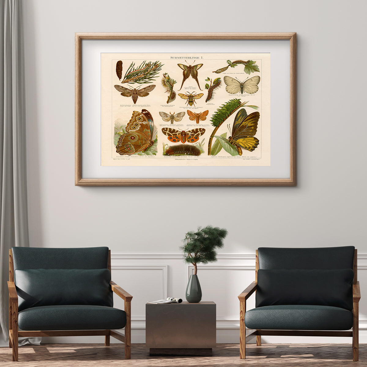 Antique Butterflies Vintage Posters-Horizontal Posters NOT FRAMED-CetArt-10″x8″ inches-CetArt