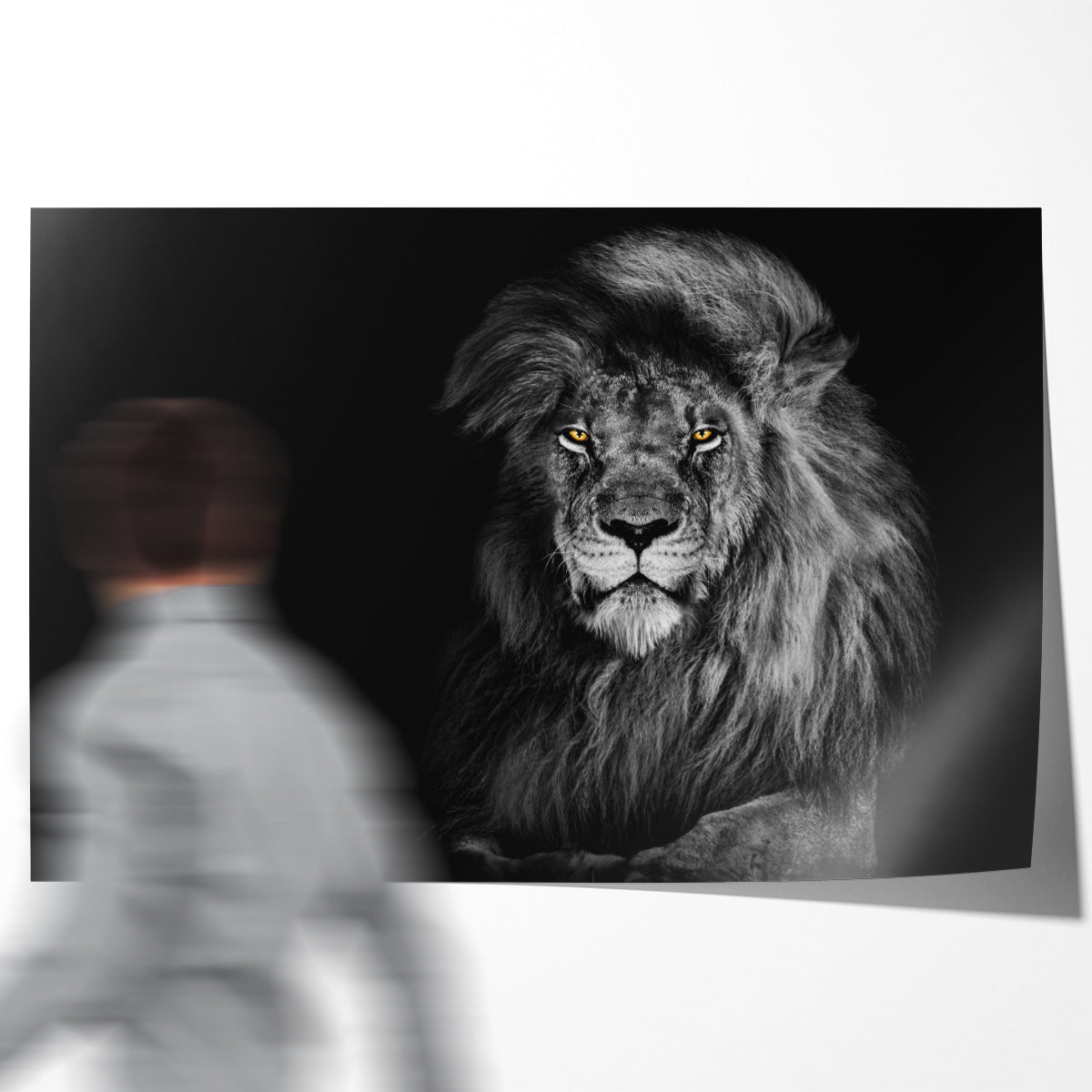 Lion King Portrait Black Poster Art Wall Decor-Horizontal Posters NOT FRAMED-CetArt-10″x8″ inches-CetArt