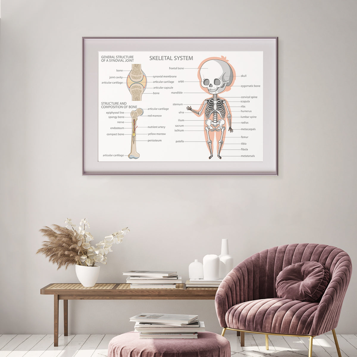 Human Skeleton Anatomy Posters Decoration for Interior-Horizontal Posters NOT FRAMED-CetArt-10″x8″ inches-CetArt