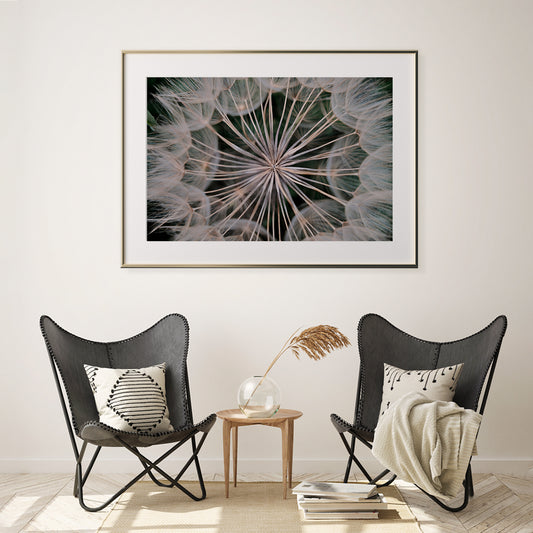 Macro Dandelion Flower Posters Wall Art-Horizontal Posters NOT FRAMED-CetArt-10″x8″ inches-CetArt