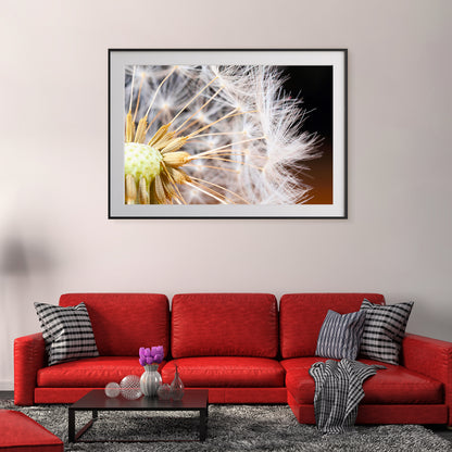 Macro Dandelion Seeds Posters For Living Room-Horizontal Posters NOT FRAMED-CetArt-10″x8″ inches-CetArt