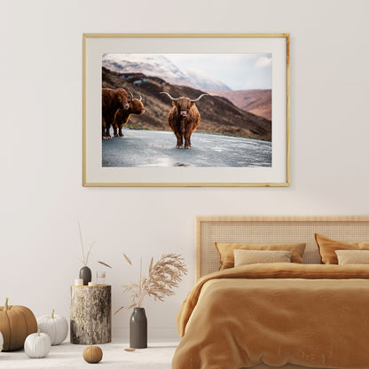 Scottish Highland Cow Posters For Room-Horizontal Posters NOT FRAMED-CetArt-10″x8″ inches-CetArt