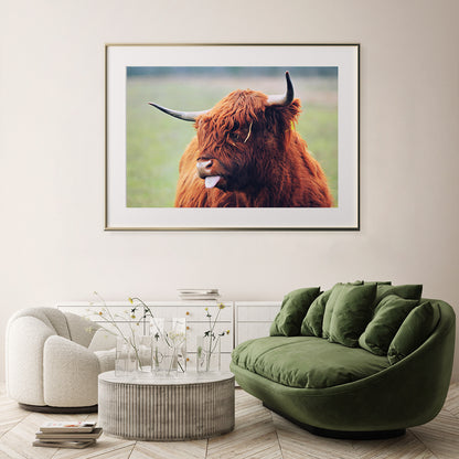 Highland Bull Poster Printing-Horizontal Posters NOT FRAMED-CetArt-10″x8″ inches-CetArt