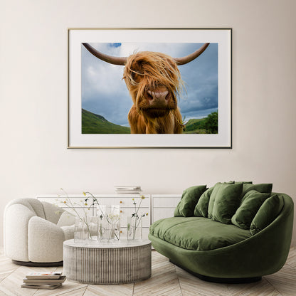 Highland Cow Poster Decorations Ideas-Horizontal Posters NOT FRAMED-CetArt-10″x8″ inches-CetArt