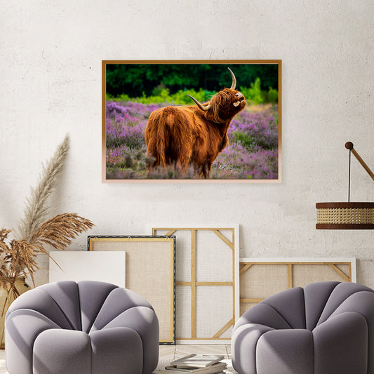 Scottish Highlander Cow in Meadow Posters Prints Wall Decor-Horizontal Posters NOT FRAMED-CetArt-10″x8″ inches-CetArt