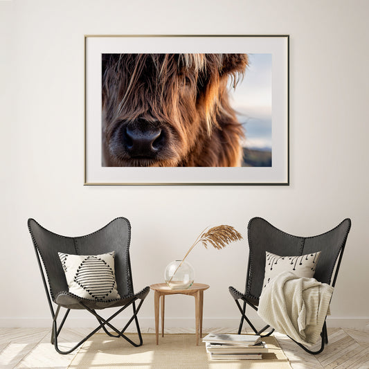 Highland Cow Posters Decoration for Interior-Horizontal Posters NOT FRAMED-CetArt-10″x8″ inches-CetArt