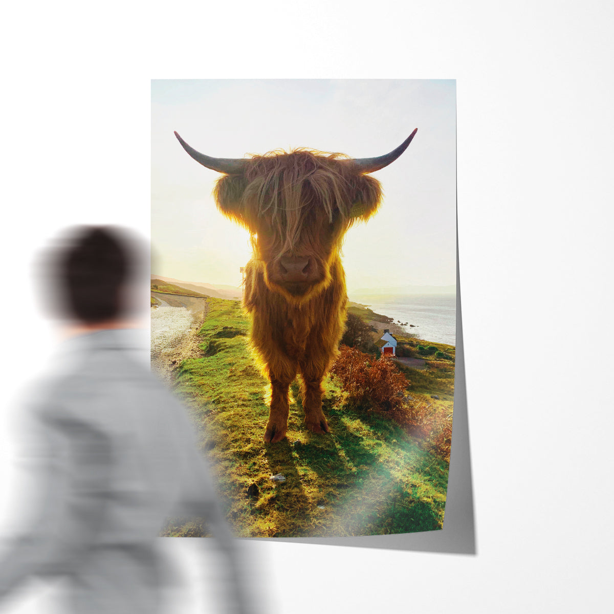 Highland Cow Scotland Posters Art Prints For Your Wall-Vertical Posters NOT FRAMED-CetArt-8″x10″ inches-CetArt