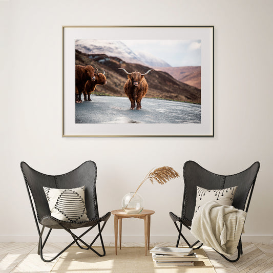 Scottish Highland Cow Posters For Room-Horizontal Posters NOT FRAMED-CetArt-10″x8″ inches-CetArt