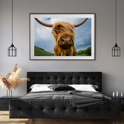 Highland Cow Poster Decorations Ideas-Horizontal Posters NOT FRAMED-CetArt-10″x8″ inches-CetArt