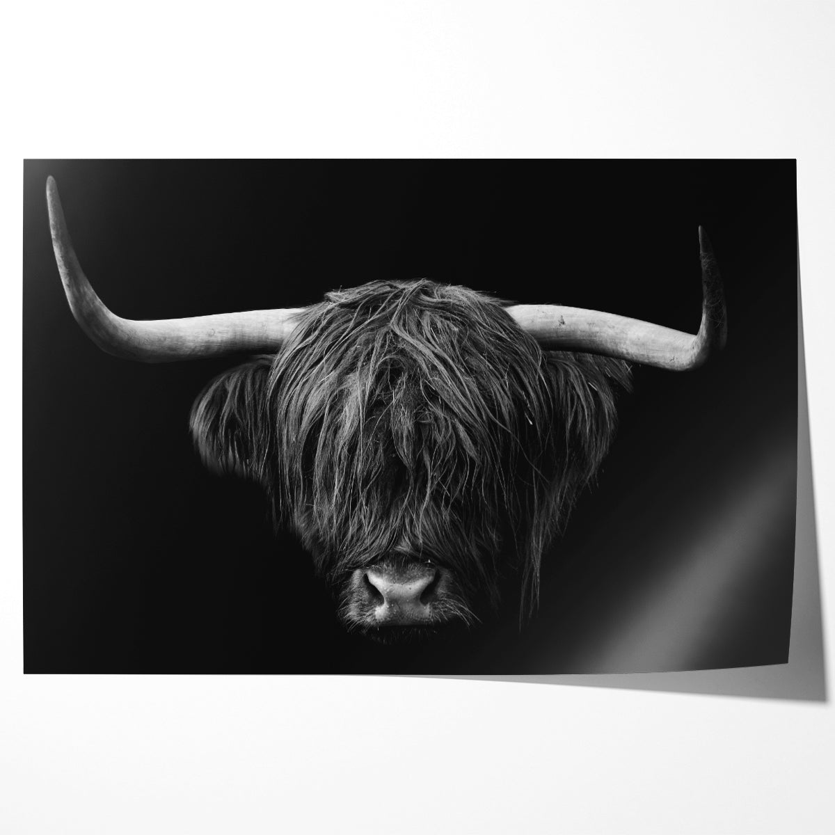 Highland Cow Portrait Posters Prints For Home-Horizontal Posters NOT FRAMED-CetArt-10″x8″ inches-CetArt