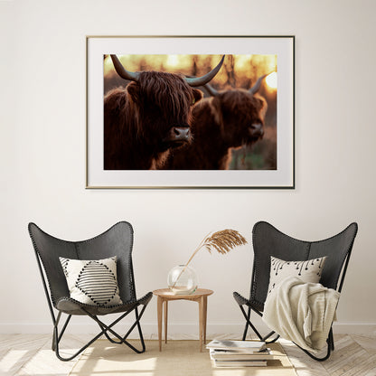 Highland Cows Posters And Wall Art Prints For Living Room-Horizontal Posters NOT FRAMED-CetArt-10″x8″ inches-CetArt