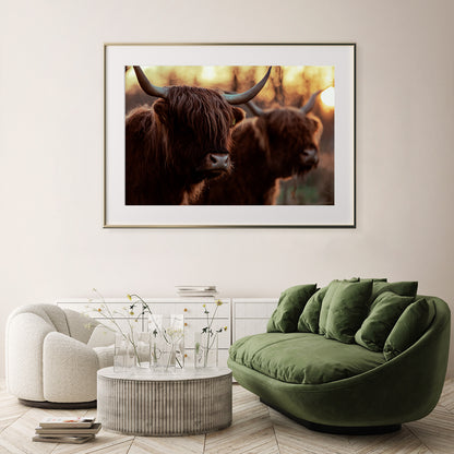 Highland Cows Posters And Wall Art Prints For Living Room-Horizontal Posters NOT FRAMED-CetArt-10″x8″ inches-CetArt