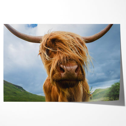 Highland Cow Poster Decorations Ideas-Horizontal Posters NOT FRAMED-CetArt-10″x8″ inches-CetArt