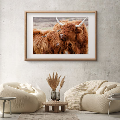 Highland Сow Сattle Family Poster Prints Wall Art-Horizontal Posters NOT FRAMED-CetArt-10″x8″ inches-CetArt