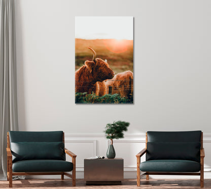 Highland Cow at Sunset Stunning Canvas Print-Canvas Print-CetArt-1 panel-16x24 inches-CetArt