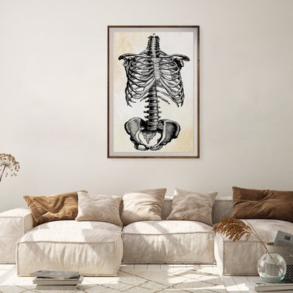 Human Skeleton Vintage Posters For Room-Vertical Posters NOT FRAMED-CetArt-8″x10″ inches-CetArt