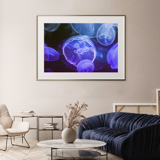 Beautiful Blue Jellyfish Poster Prints Wall Art-Horizontal Posters NOT FRAMED-CetArt-10″x8″ inches-CetArt