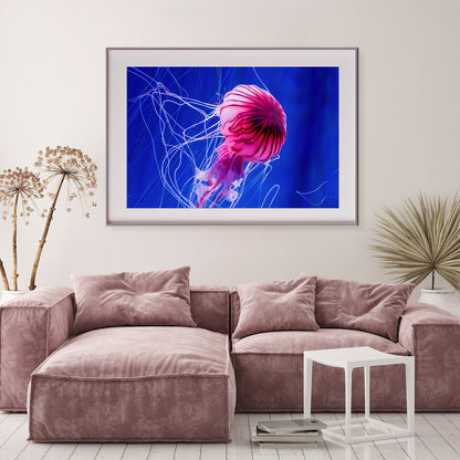 Beautiful Jellyfish in Blue Water Posters For Wall-Horizontal Posters NOT FRAMED-CetArt-10″x8″ inches-CetArt