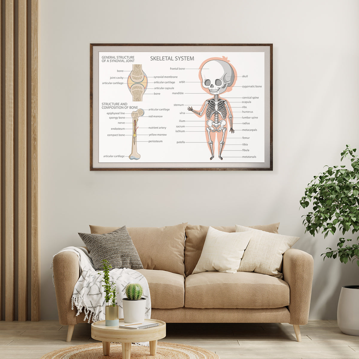 Human Skeleton Anatomy Posters Decoration for Interior-Horizontal Posters NOT FRAMED-CetArt-10″x8″ inches-CetArt