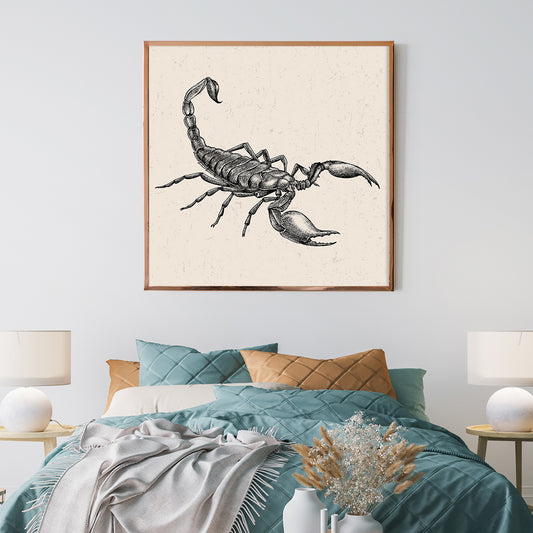 Vintage Scorpion Living Rooms Posters Wall Art Prints-Square Posters NOT FRAMED-CetArt-8″x8″ inches-CetArt