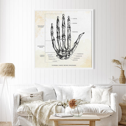 Human Hand Bone Vintage Modern Abstract Art Posters-Square Posters NOT FRAMED-CetArt-8″x8″ inches-CetArt