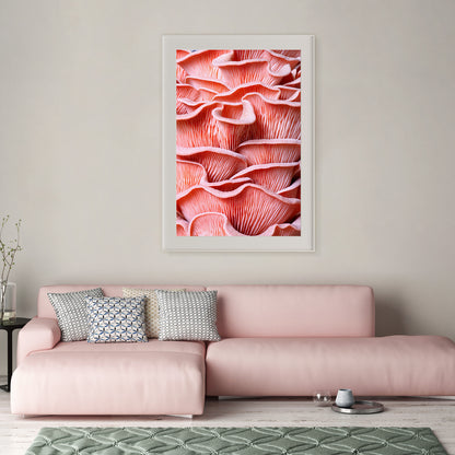 Pink Oyster Mushrooms Rooms Posters Wall Art Prints-Vertical Posters NOT FRAMED-CetArt-8″x10″ inches-CetArt