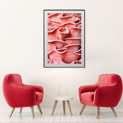 Pink Oyster Mushrooms Rooms Posters Wall Art Prints-Vertical Posters NOT FRAMED-CetArt-8″x10″ inches-CetArt