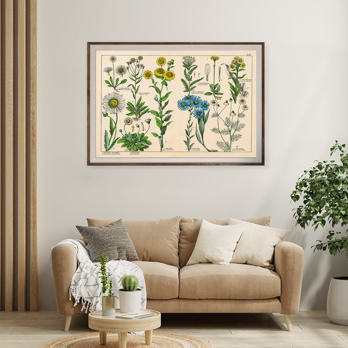 Plants Antique Botanical Lithograph Vintage Posters Ideas-Horizontal Posters NOT FRAMED-CetArt-10″x8″ inches-CetArt