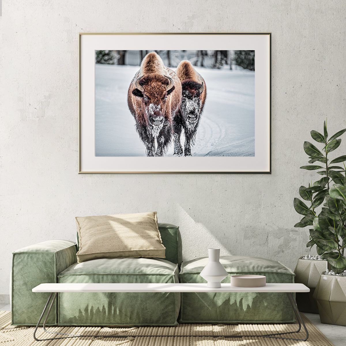 Bison in Winter Room Posters Wall Art-Horizontal Posters NOT FRAMED-CetArt-10″x8″ inches-CetArt